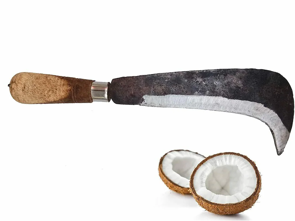 Coconut